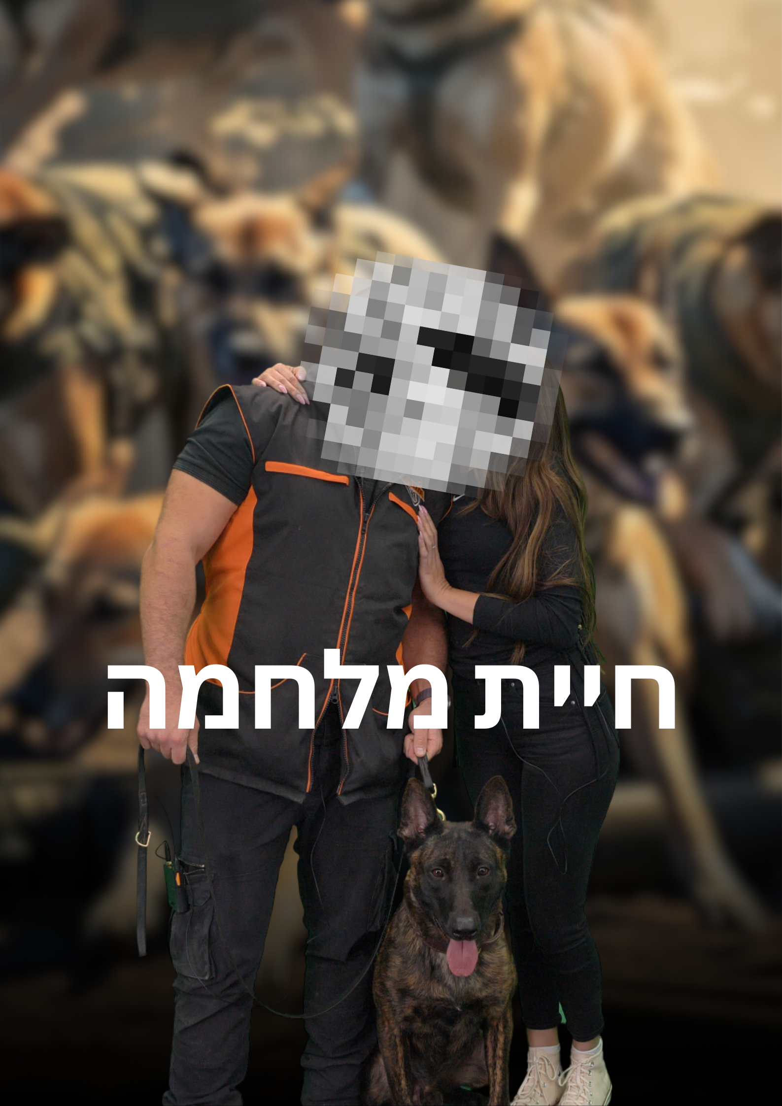 חיית מלחמה